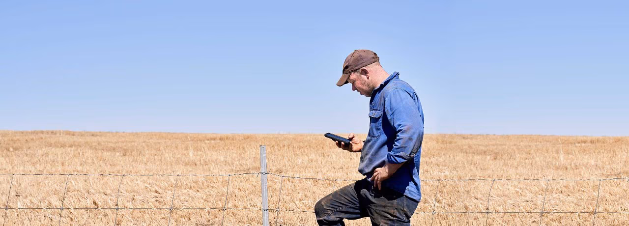Person using mobile phone