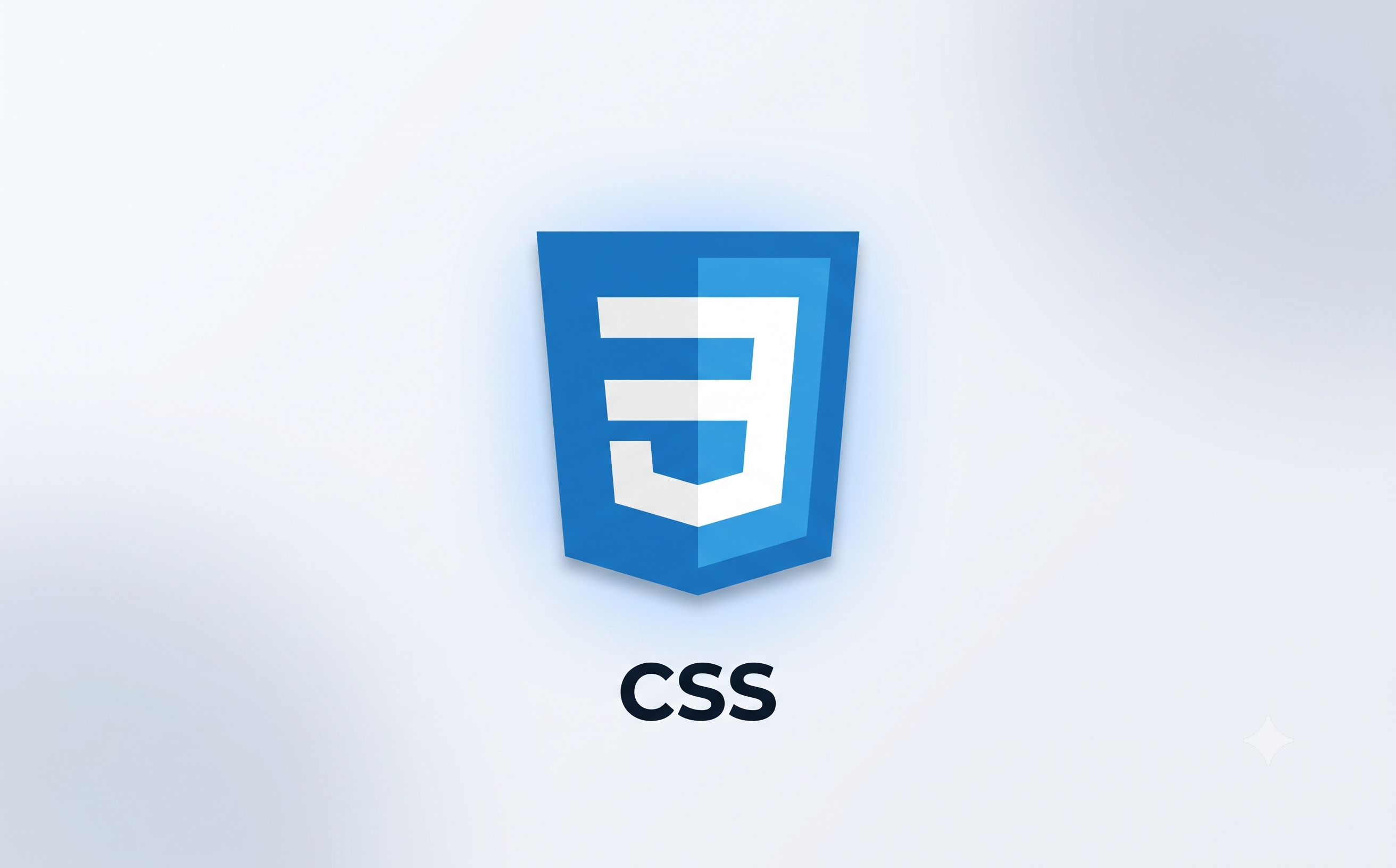 CSS